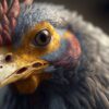 super closeup hyperrealistic chicken art piece